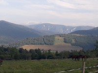 /album/chalupa/a20180629-184845-jpg/