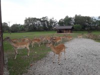 /album/chalupa/a20180819-150347-jpg/